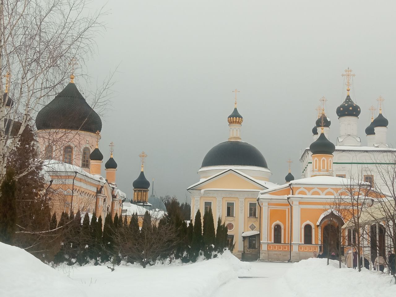 IMG_20260228_140825_742