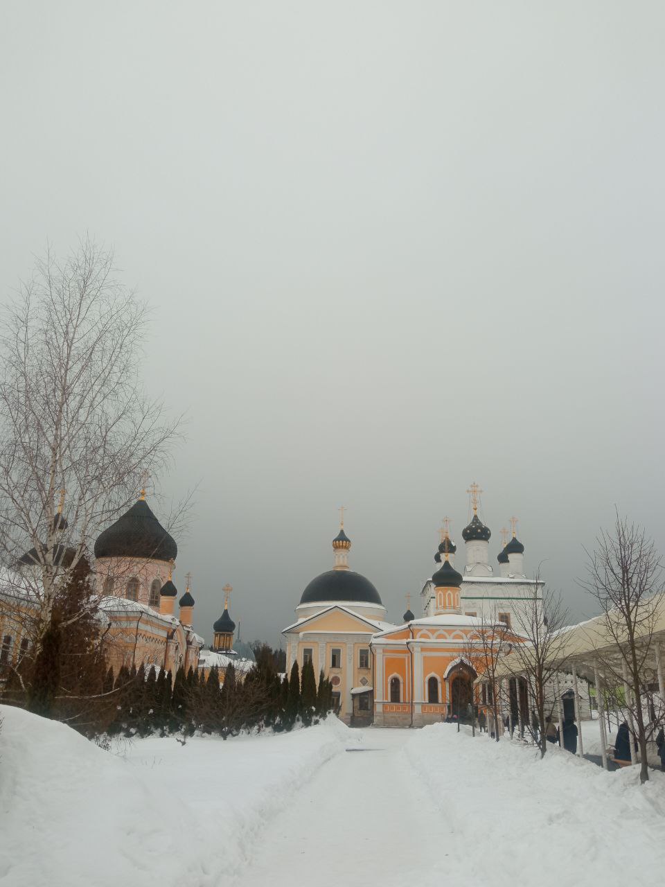 IMG_20260228_140825_821